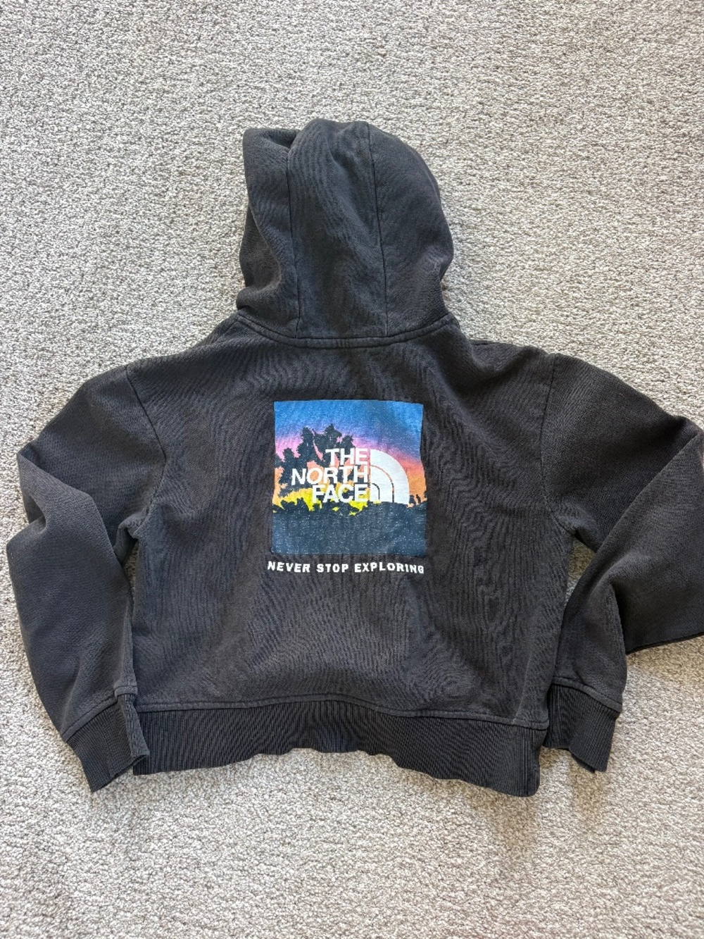 North Face Crop Hoodie Girls Medium (10)